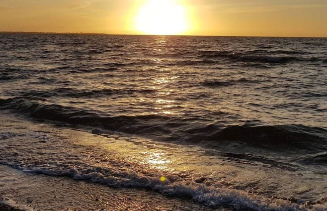 8 Person Holiday Home in Store Fuglede - Foto 33