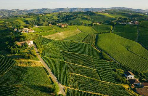 Luxe Villa, All Ensuites & Private Vineyard Views - Foto 23