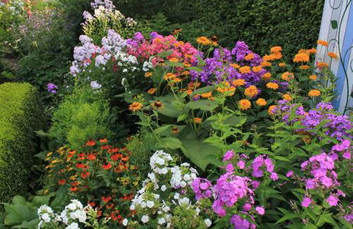 Apartment Appartement mit Wallbox by Interhome - Foto 32