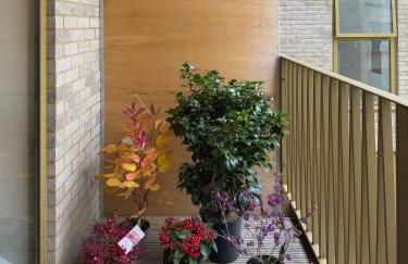 New 2bd Willesden Oxford St, Wembley, Jubilee line - Foto 13