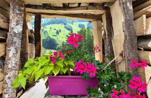 Ferienwohnung im Historischen Schwarzwaldhaus - Foto 15