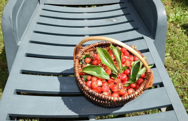 Lovable Apartment, Pool With Deckchairs, Fenced Garden With Grill, Wifi and Airco - Foto 19