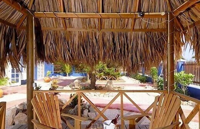 Blachi Koko Apartments Bonaire - Foto 35