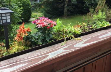 Haus am Waldrand - Foto 10