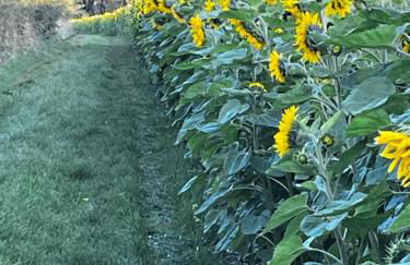 Rolling Mill, Wolds Way Holiday Cottages, 2 Bed, 1st floor - Foto 24