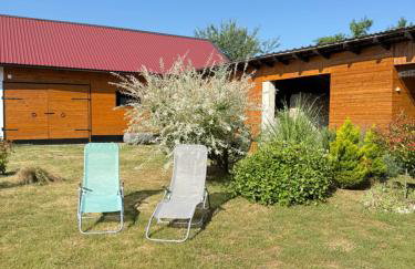 Apartment Gabriela - Foto 34