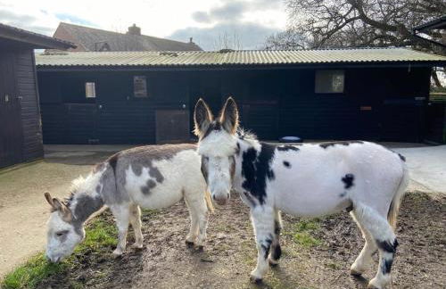 The Cote is a stunning rural barn beach 3 miles - Foto 43