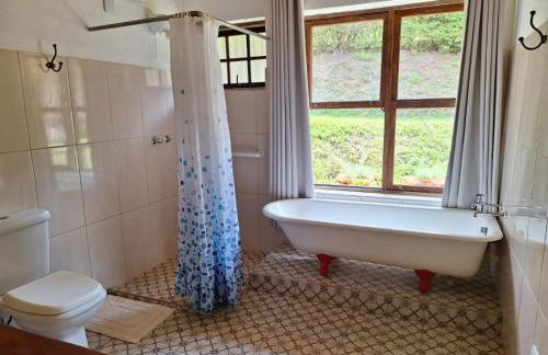 Retiro Sol e Chuva - Foto 31