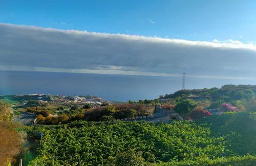 Finca Los Viñedos Verdes - Foto 37