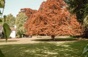 Riverside Country House and Cottage - Foto 15