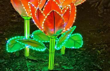 La CASA de Kevin - Torrevieja - Foto 28