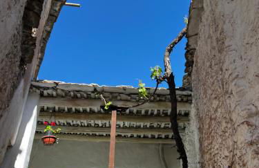 Casa Carmela, rural house with spectacular views, in an exquisite area - Foto 30