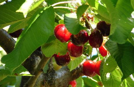 Puente Canto de Gredos - Photo 26