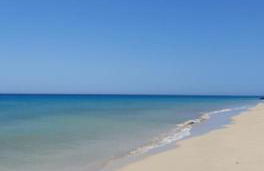 Las Dos Orillas - Photo 23