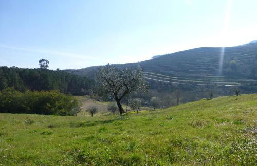 Casa Retiro de Lisei - Foto 26