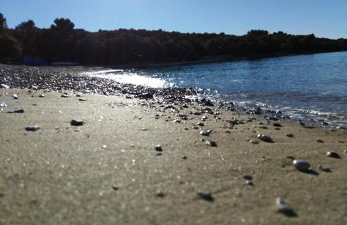 Apartmani Tognon - Foto 69