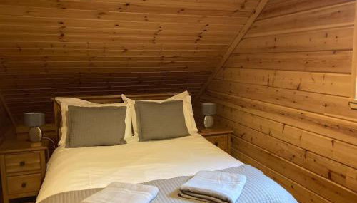 Red Squirrel log cabin with hot tub - Foto 3