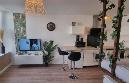 New jungle studio cœur de ville - Foto 1