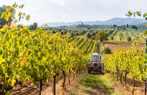 Agriturismo la Casina - Foto 16