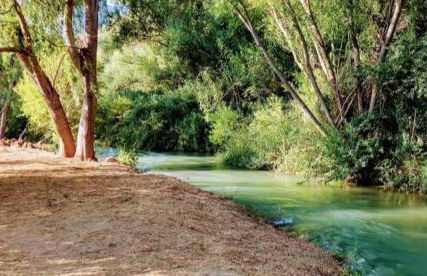 MAIN SQUARE Apartments - Photo 48