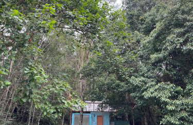 chalé 3 - guache - Foto 23