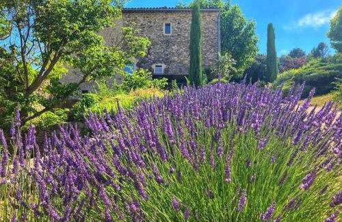 La Providence - Photo 19