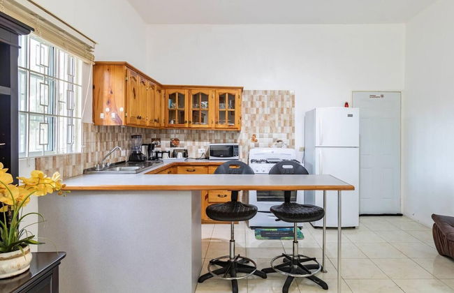 Lovely 1-bed in Montego Bay-rose View Apartment - Photo 4