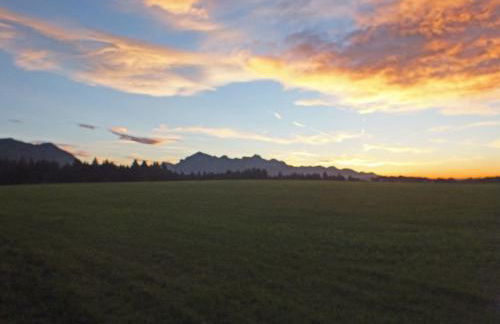 Beim Bicher - Photo 72