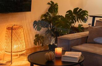 Zen Sasino - Foto 67