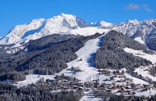 Chaleureux studio près des pistes avec parking et animaux acceptés - FR-1-505-6 - Foto 14