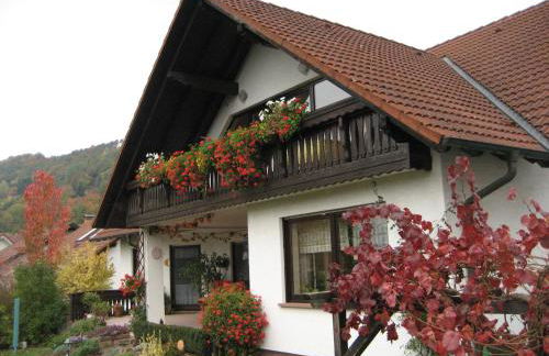 Ferienwohnungen Haus Albert - Foto 2