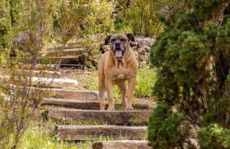 Villa Afrodite - Foto 40