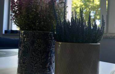 Willa Daisy - Foto 18