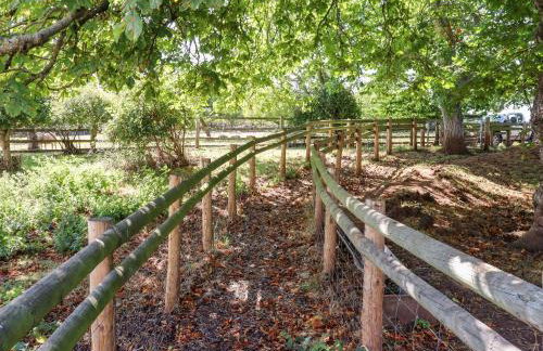 Aluric's Hall - Foto 41