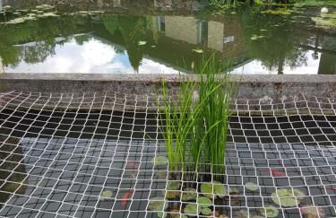 Ferienhaus ILMHOF - Photo 12