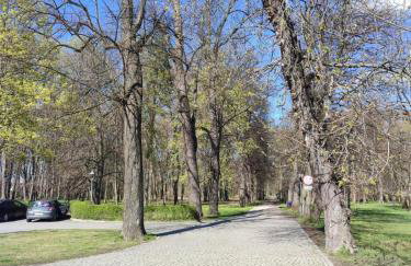 Apartament 4 You - Photo 11