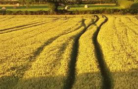 Archers Cottage - Foto 34