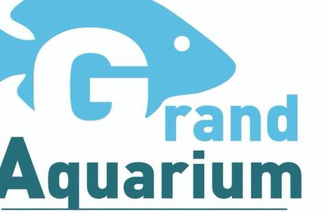 Le Vaugerin - Foto 47