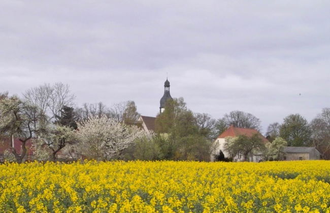 Schone Ferienwohnung mit Terrasse in Boddin - Foto 22