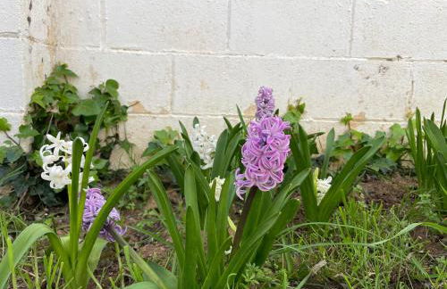 Villa María Lagos del Serrano - Foto 12