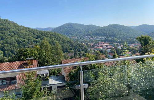 Harz Living - Ferienwohnungen mit Traumblick - Foto 51