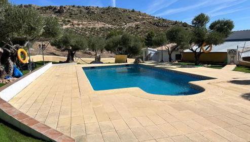 El Olivar de la Solana - Foto 5