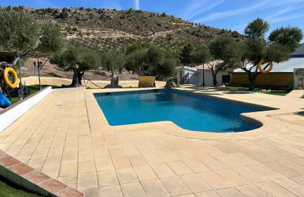 El Olivar de la Solana - Foto 5