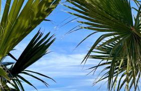 El secreto de cristal - Foto 27