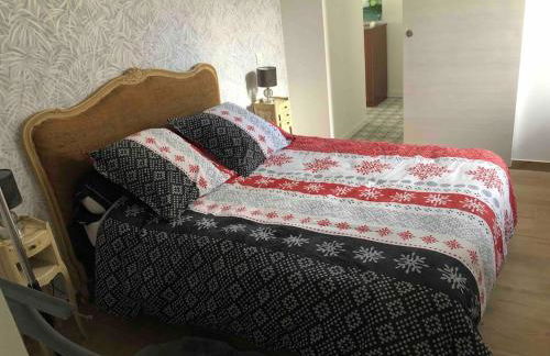 Au bord du gave - Foto 12