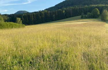 Ferienwohnung Burkhart - Foto 20