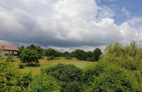 Apartman Laura - Foto 49