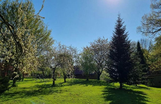 Geraeumige Ferienwohnung in Boddin mit Garten - Foto 30