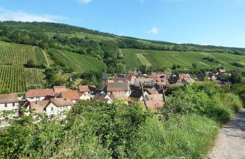 Appartement spacieux à Epfig avec vue sur le jardin - Foto 31