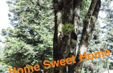 Flat Gramado Home Sweet Home - Foto 30